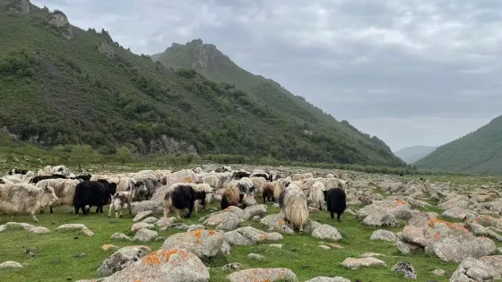 倉家峽森林公園