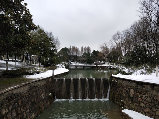 雪中梅，更作广寒宫里人