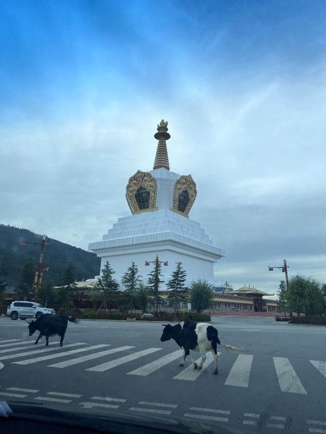 香格里拉和谐塔中塔旅行图片 1