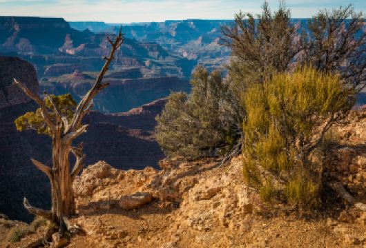 美国大峡谷西峡一日游【（包含直升飞机+游船票）】【乘坐直升飞机翱翔大峡谷，乘坐游船漂浮在科罗拉多河上，从空中和水上视角欣赏大峡谷的风光。】
