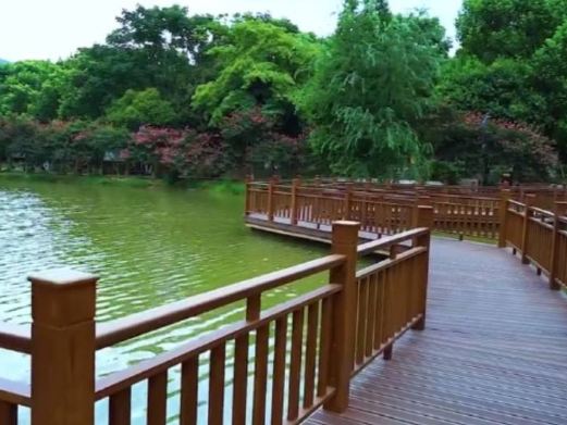 郴州市南岭植物园