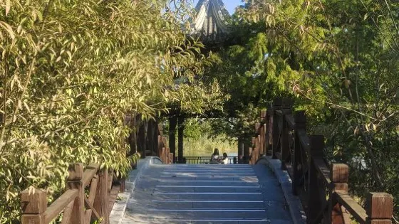 星甸鎮中央濕地公園