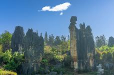 小石林景区-阿诗玛-石林