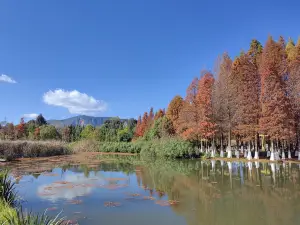 Haihong Wetland