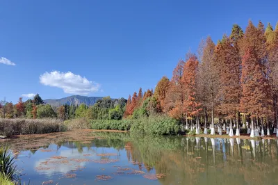 海洪湿地