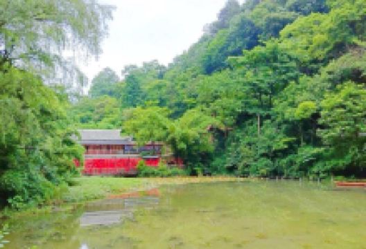 七星潭景点图片