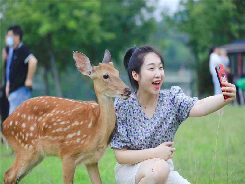长生鹿苑