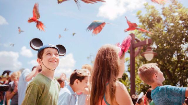 迪士尼動物王國