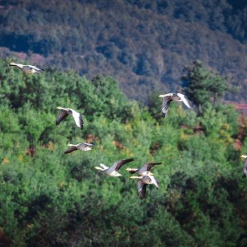 六盘水7日6晚私家团