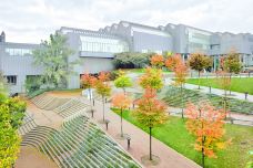 路德维希博物馆-科隆