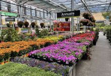 depot garden center购物图片