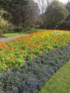 奥塔里植物园-惠灵顿-gracewyin