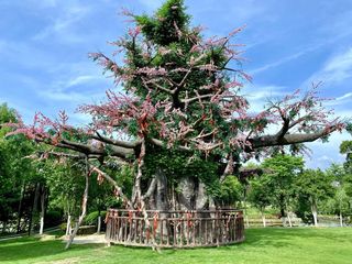 莫负夏日时光,换个地方过端午【安吉田园嘉乐比】