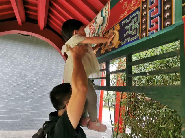 碑林公园旅行图片 3