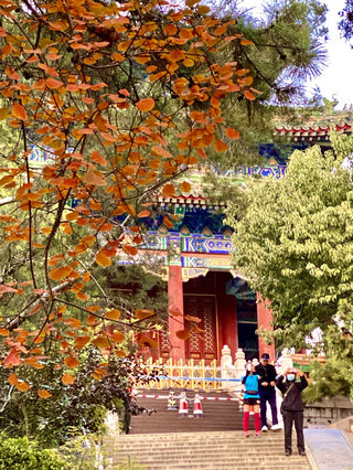重阳节 登景山