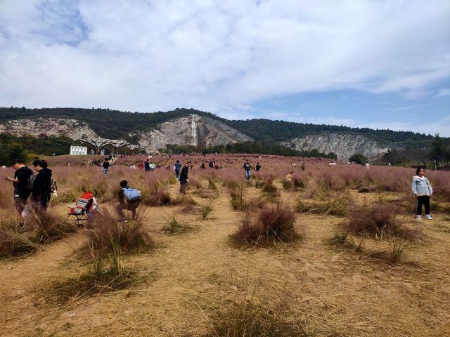 郭兴庄园旅行图片 2