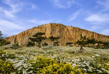 马山公园景点图片
