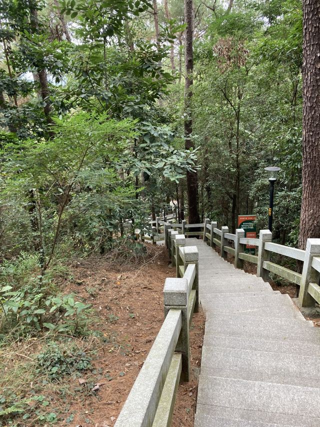韶关国家森林公园旅行图片 3