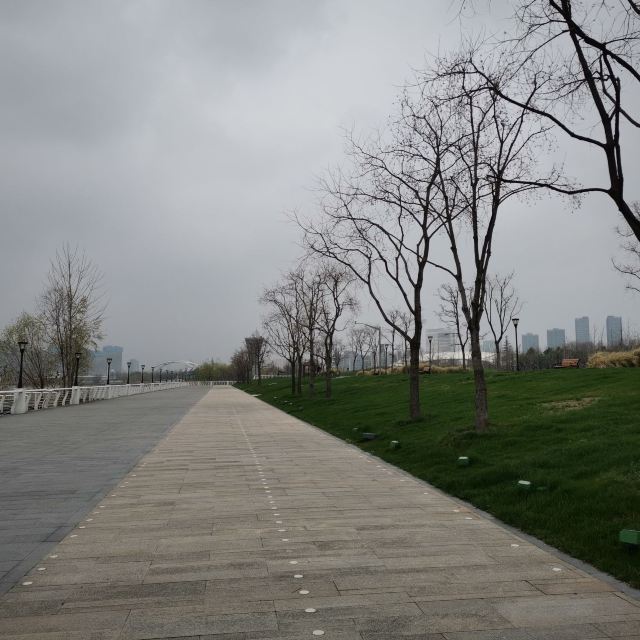 滨江大道旅行图片 2