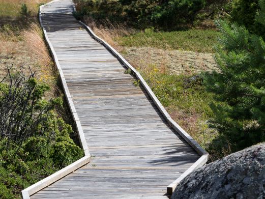 滨海路西段木栈道