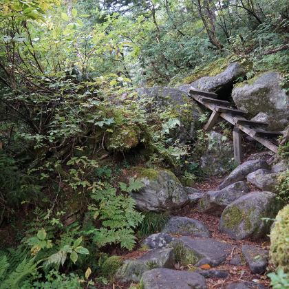 阜阳+亳州5日4晚私家团