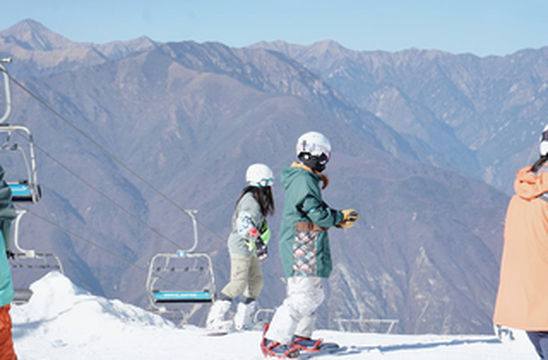 静静欣赏成都冬日里那一抹斜阳