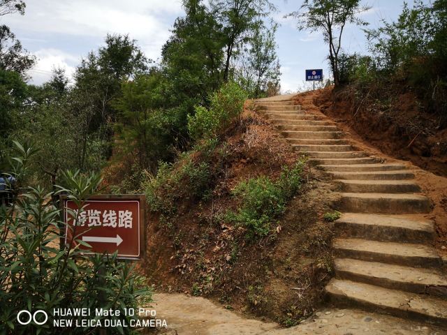 土林旅行图片 11