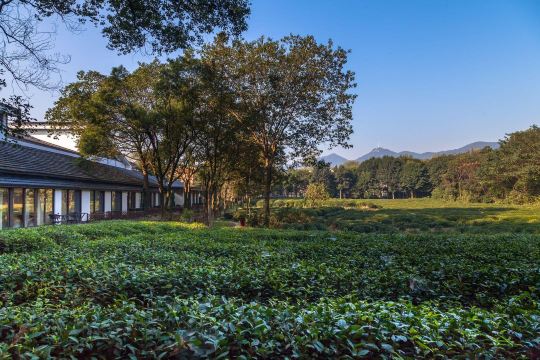 Hangzhou Visodhita Hotel(Linyin)·Tea Garden Restaurant