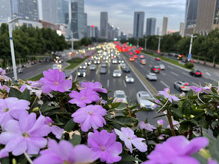 济南一日游攻略-错过了落日余晖,还可以期待满天繁星