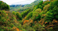 华阳镇游记图片] 汉中华阳景区的秋景