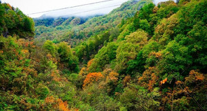 洋县游记图文-汉中华阳景区的秋景