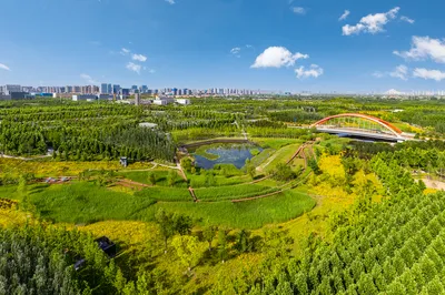 沣西文化公园