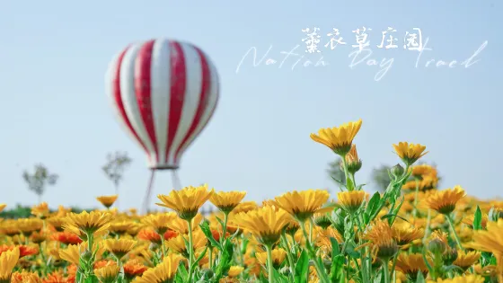 普羅旺斯薰衣草莊園