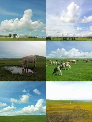 令人魂牵梦萦的地方--呼伦贝尔