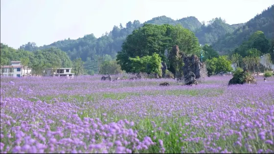 烏沙貴州龍景區