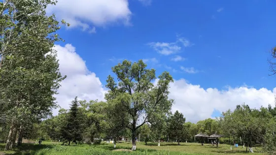 雞西動植物園