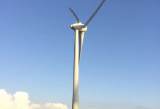 龟壳公园景点图片