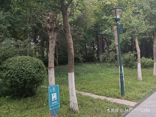 潍坊植物园-槭树园