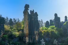 小石林景区-阿诗玛-石林