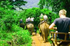 Nosey Parker's  Elephant Camp丛林骑大象-甲米