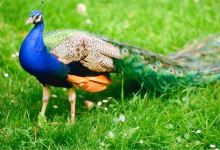 尚田小镇景点图片