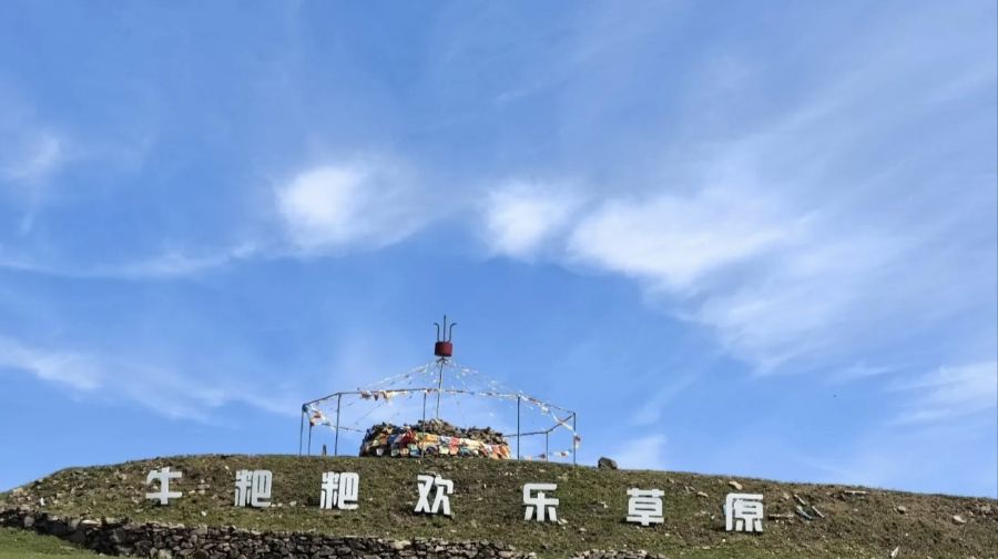 牛粑粑欢乐草原
