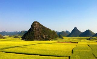 罗平的油菜花、金鸡峰、九龙瀑布，爱了爱了！