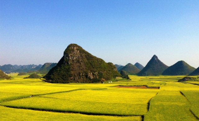 罗平的油菜花、金鸡峰、九龙瀑布，爱了爱了！