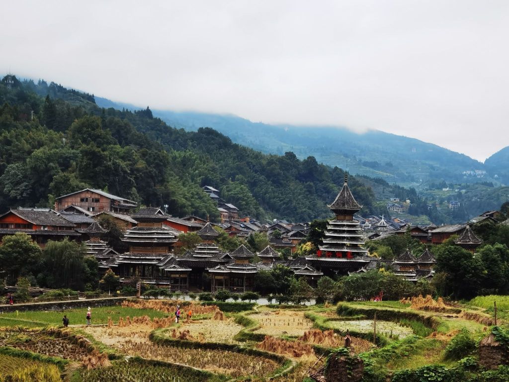 从江香猪美食(洛香店)餐厅图片