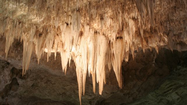 7-Day Natural & Cultural Tour·Los Angeles, Phoenix, Albuquerque, Sedona, Las Vegas, Death Valley