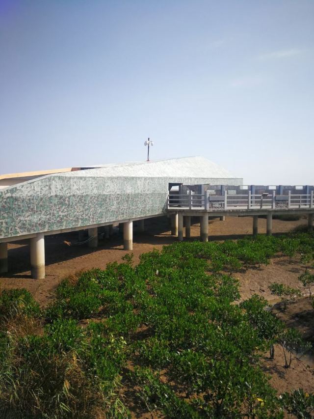 闽江河口国家湿地公园旅行图片 3