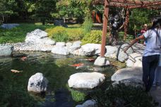 Japanese Friendship Garden & Museum-圣地亚哥-西溪老翁