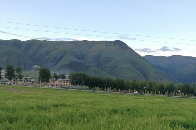 大金寺旅行图片 9