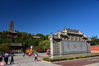 普救寺里看《西厢》鹳雀楼上眺斜阳